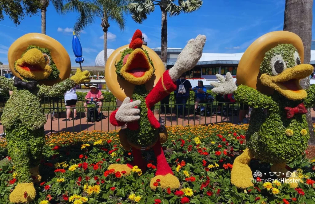 Epcot Flower and Garden Festival 2024 Three Caballeros Topiary with Donald Duck with Panchito and Jose. Keep reading to learn how to save for Disney World.