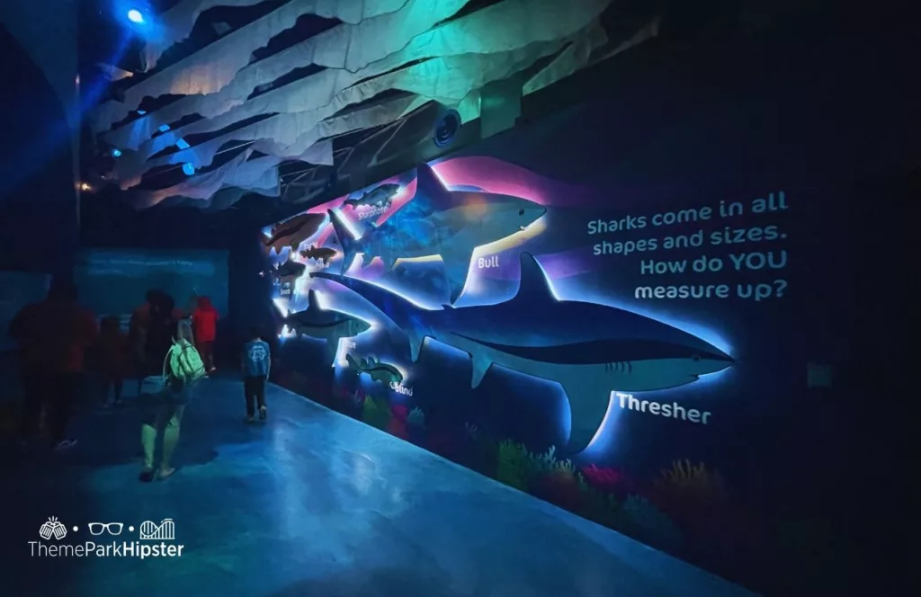 SeaWorld Orlando Resort Shark Encounter Exhibit. Keep reading to get the best SeaWorld Orlando tips, secrets and hacks.