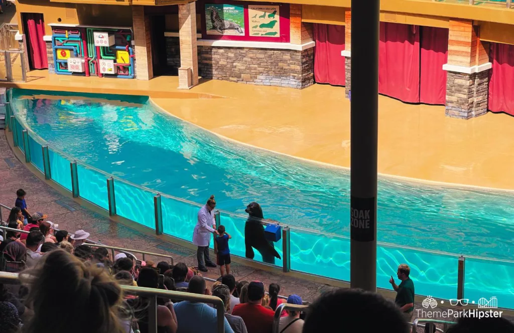 SeaWorld Orlando Resort Sea Lion and Otter Show at Pacific Point. Keep reading to find out all you need to know about which is the best theme park in Orlando. 