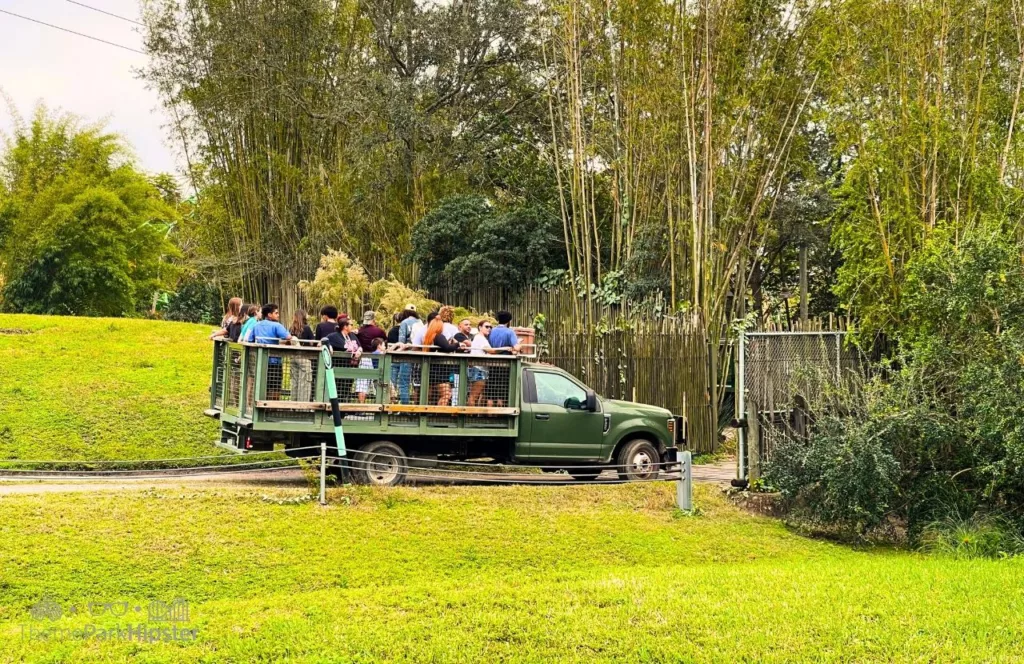 Busch Gardens Tampa Bay Christmas Town Serengeti Safari