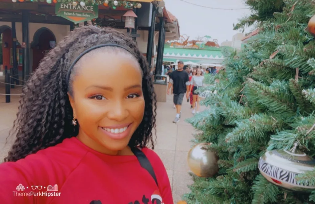 Busch Gardens Tampa Bay Christmas Town Tree with NikkyJ. Keep reading to get the benefits of going to theme parks alone and having a solo Orlando, Florida trip.