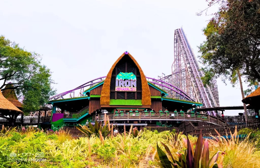 Busch Gardens Tampa Bay Iron Gwazi Roller Coaster. Keep reading to see who wins in the Iron Gwazi vs Steel Vengeance battle!