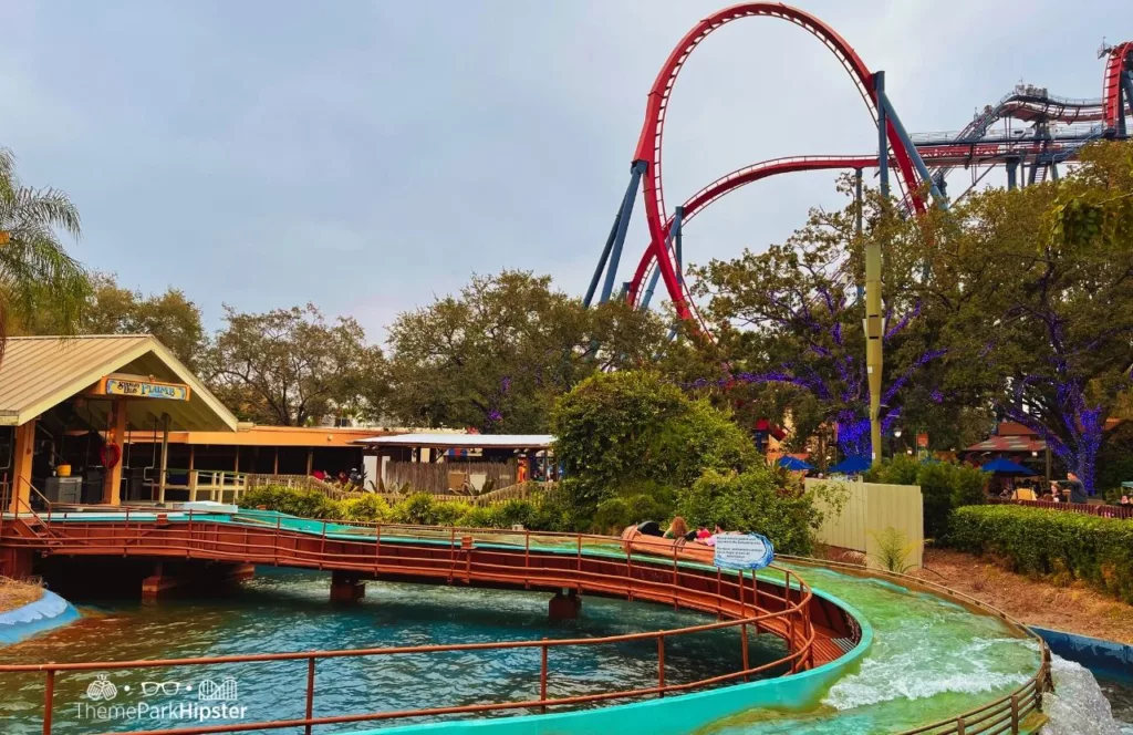 Busch Gardens Tampa Bay Stanley Flume Water Ride with Sheikra in the background. One of the best Busch Gardens water rides.