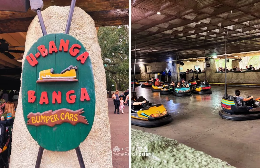 Busch Gardens Tampa Bay UBanga Banga Bumper Cars