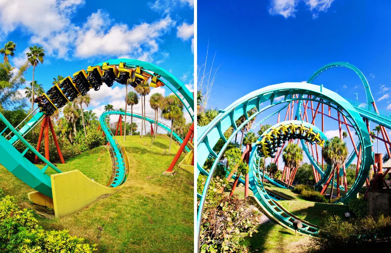 Kumba Roller Coaster Busch Gardens Tampa