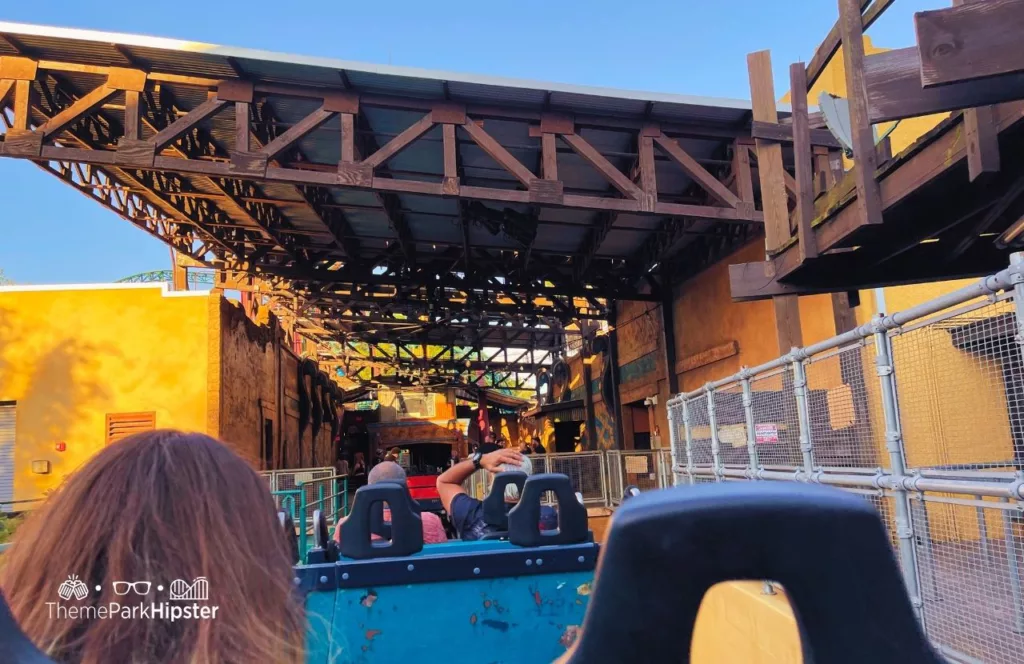 Cobra's Curse Roller Coaster at Busch Gardens Tampa Bay