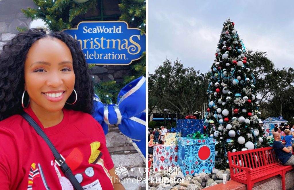 NikkyJ at SeaWorld Orlando Christmas Tree Celebration