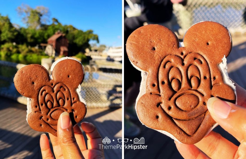 Disney Magic Kingdom Park and Downtown Disneyland Mickey Mouse Ice Cream Sandwich Snack and Dessert