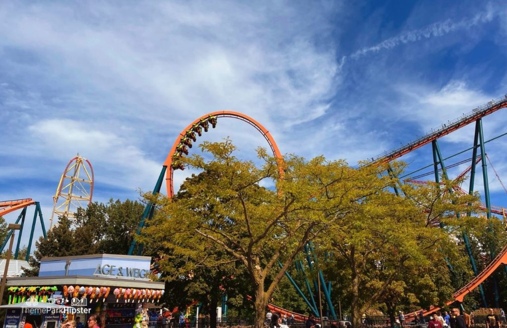 Cedar Point Amusement Park Ohio Rougarou Roller Coaster and Top Thrill 2. Keep reading to get the best roller coaster fun facts and trivia.