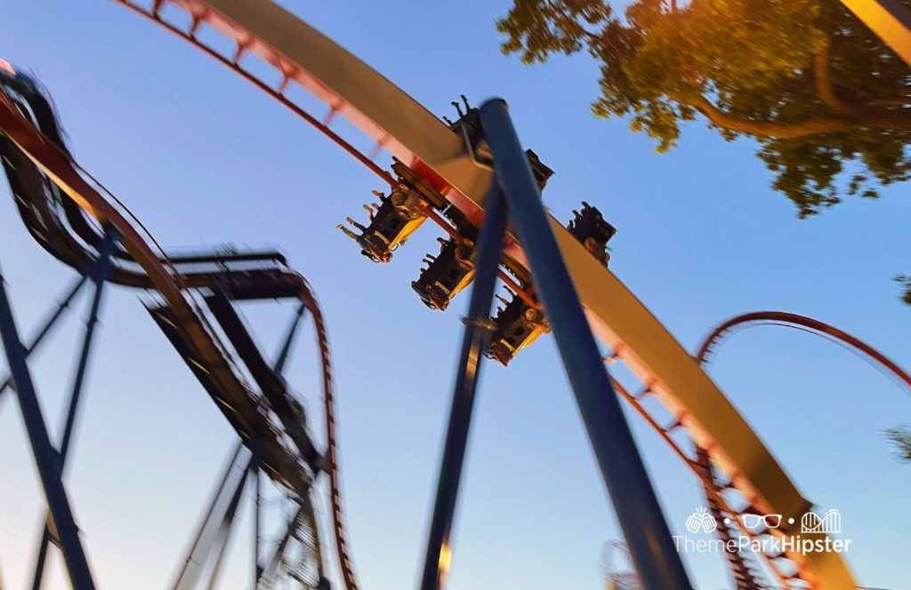 Cedar Point Ohio Amusement Park Valravn Roller Coaster