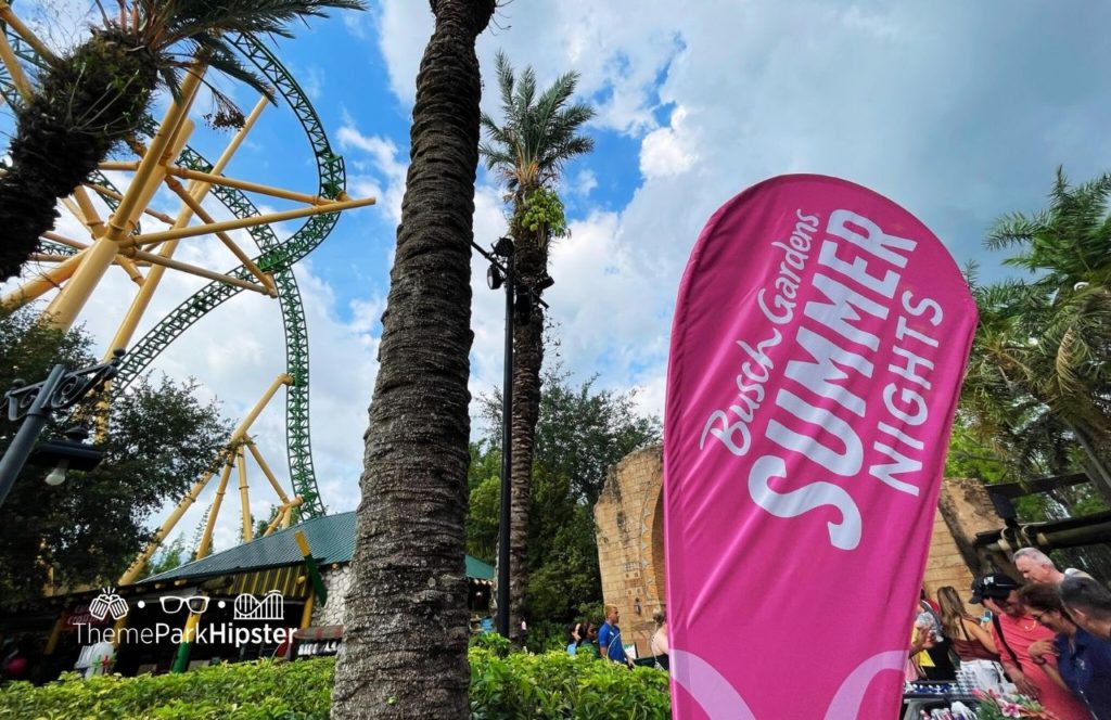 Cheetah Hunt in the Background Summer Nights at Busch Gardens Tampa