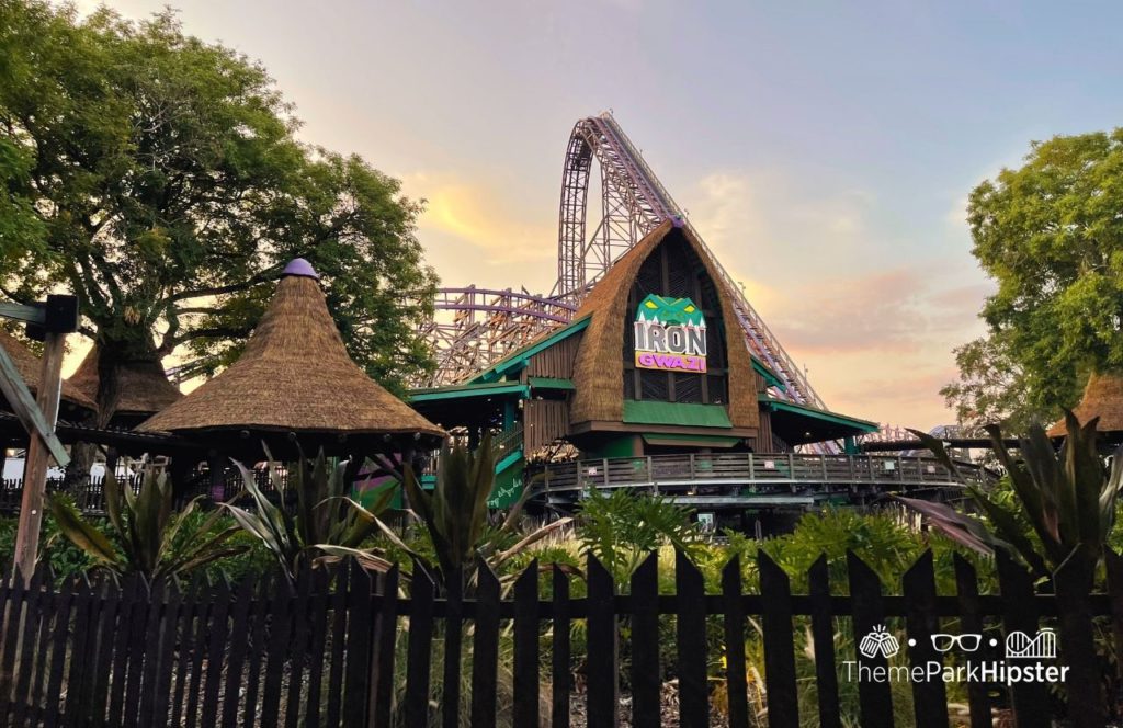 Iron Gwazi Roller Coaster Summer Nights at Busch Gardens Tampa