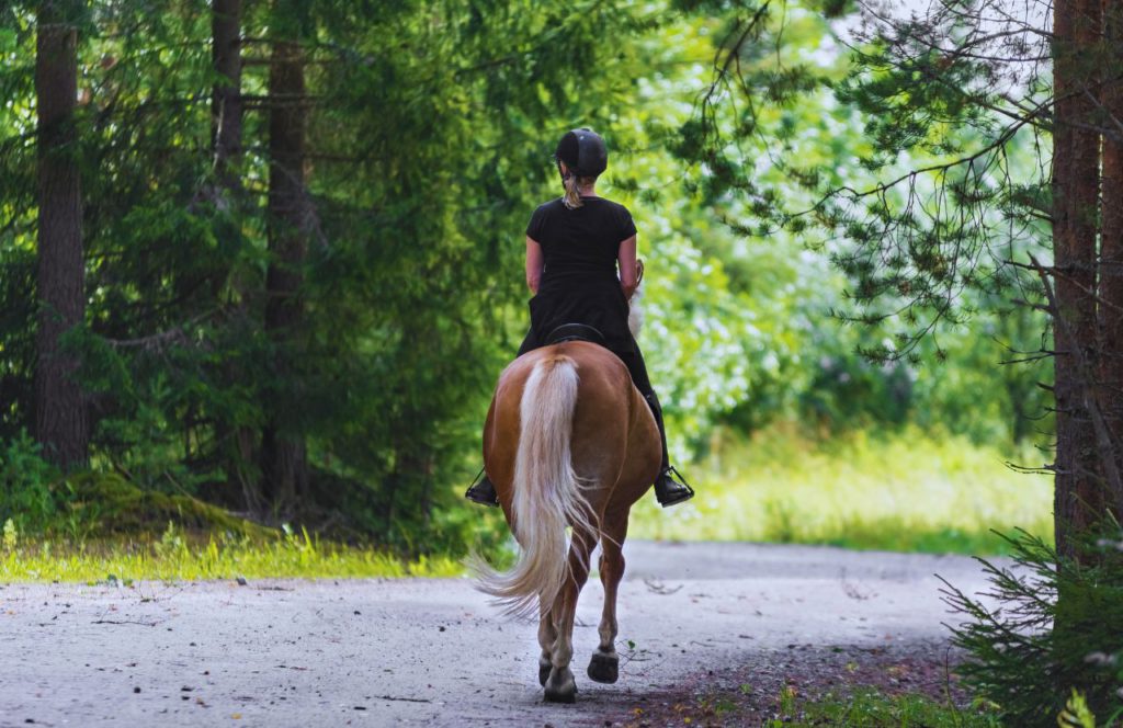 Lady horseback riding in the woods. Keep reading to find out the best places to go on a solo trip in Florida. 