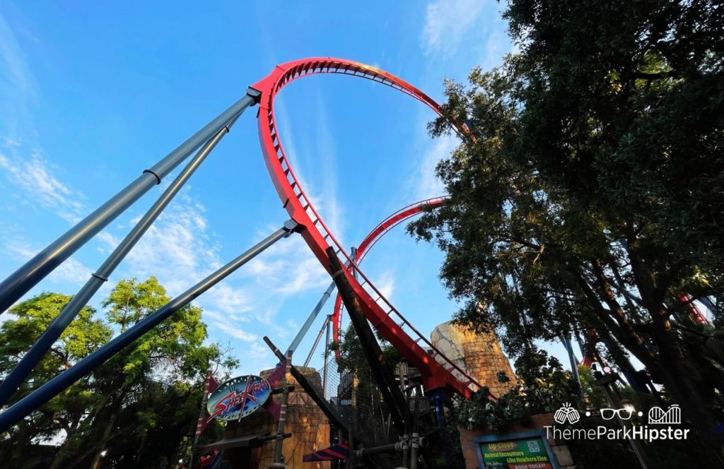 SheiKra Roller Coaster Summer Nights at Busch Gardens Tampa