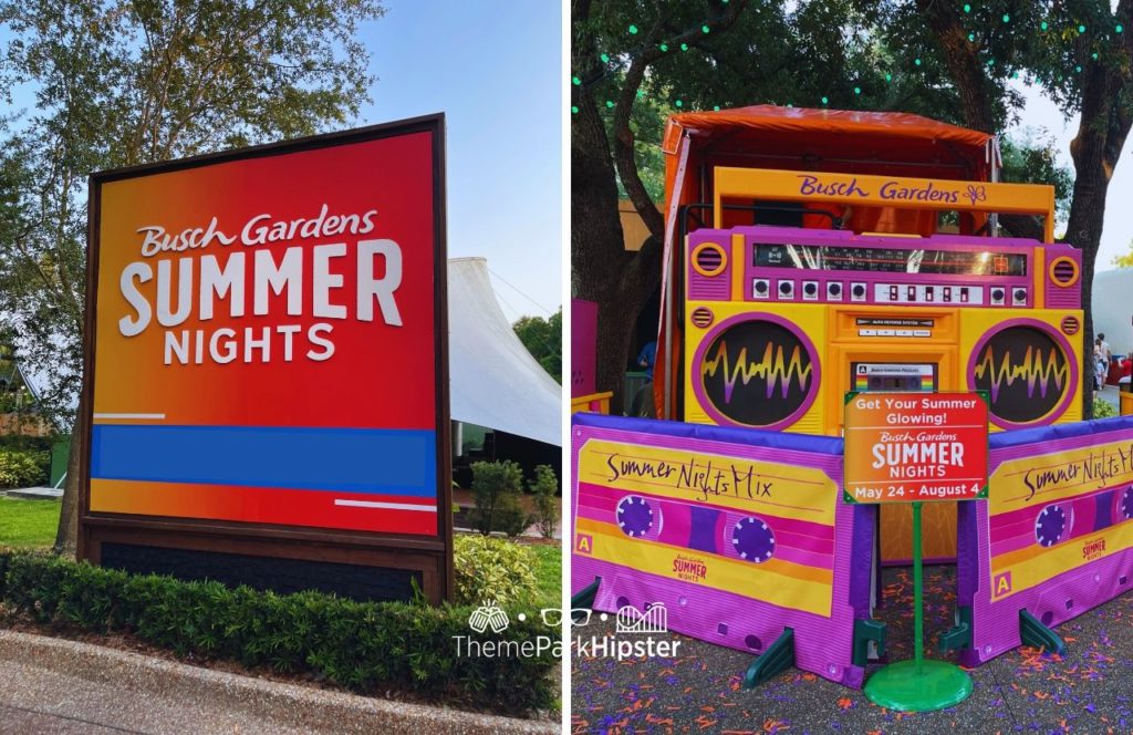 Summer Nights at Busch Gardens Tampa