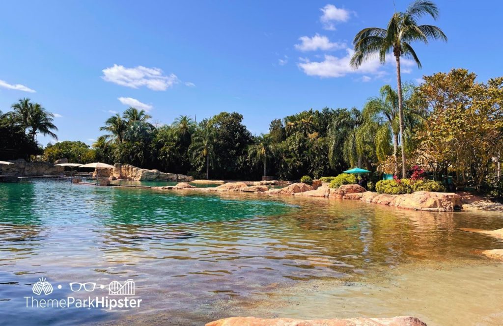 Swimming with Dolphins Discovery Cove All Inclusive Water Park at SeaWorld Orlando. Keep reading to find out all you need to know about Seaworld Orlando's Discovery Cove.