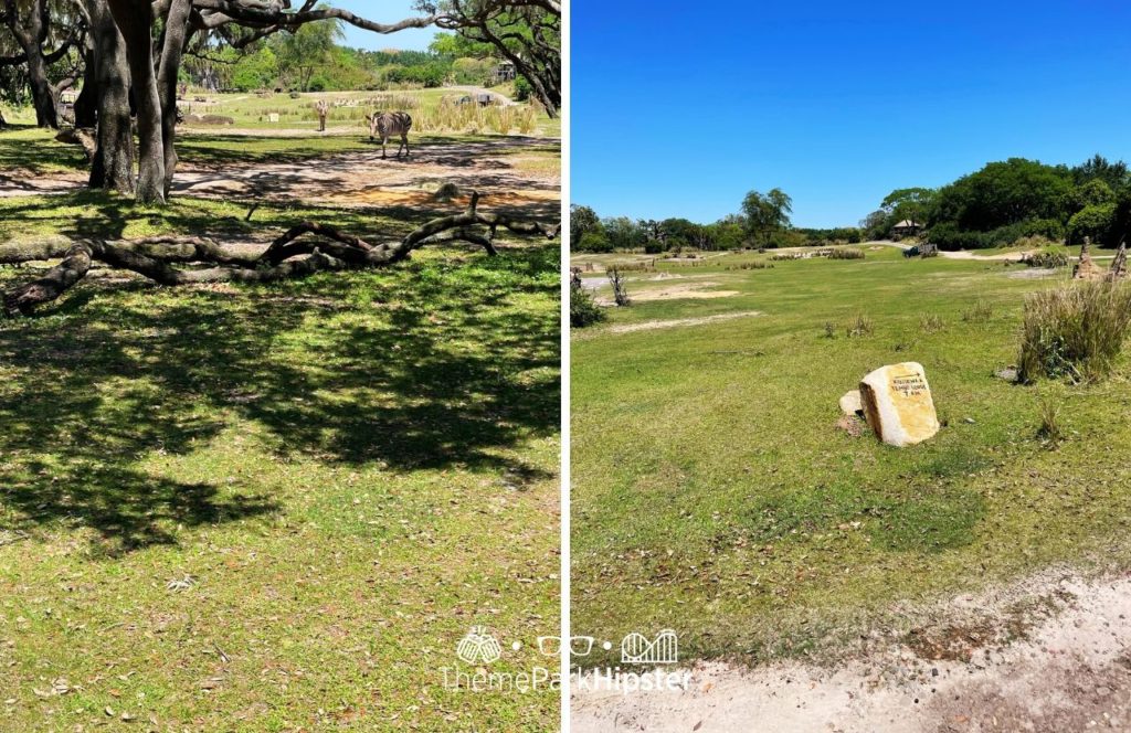 Africa Kilimanjaro Safaris Disney Animal Kingdom Theme Park