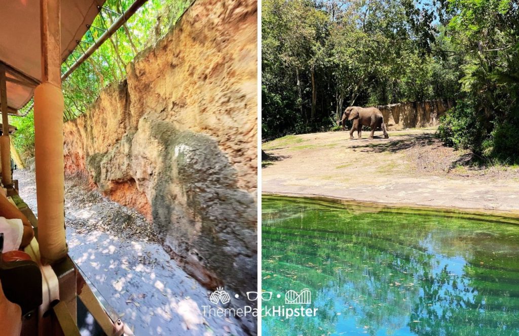 Africa Kilimanjaro Safaris Elephant Disney Animal Kingdom Theme Park