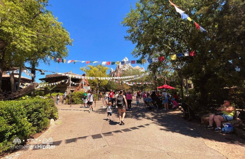 Expedition Everest Roller Coaster Ride Mountain Disney Animal Kingdom Theme Park Asia Area with colorful prayer flags. Keep reading to get the best secrets of Animal Kingdom.