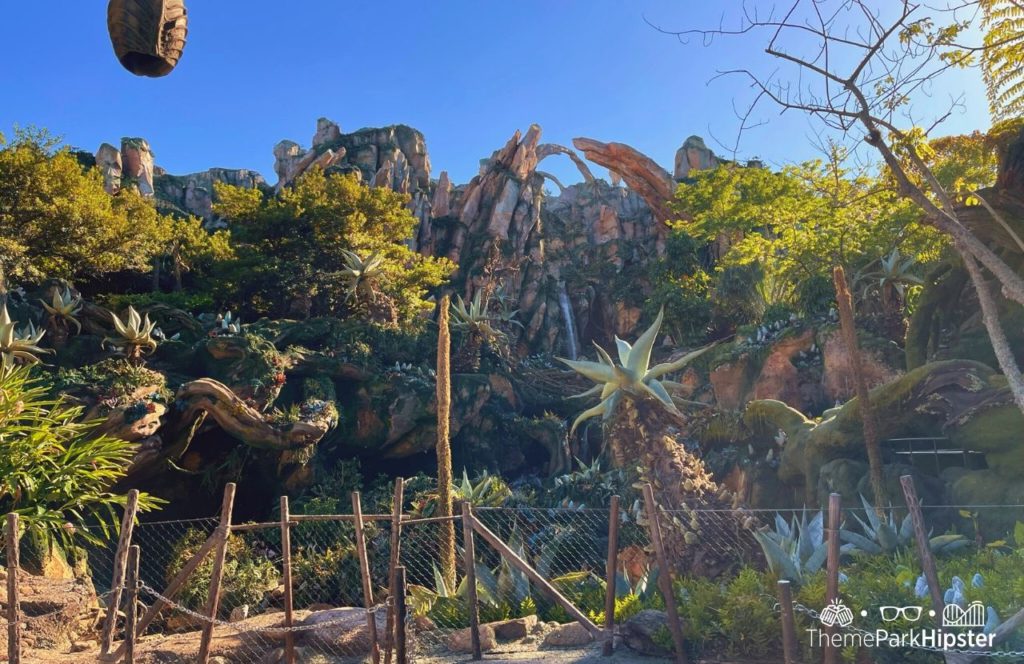 Pandora World of Avatar Flight of Passage Disney Animal Kingdom Theme Park. Keep reading to find out more hidden secrets at Disney's Pandora The World of Avatar.