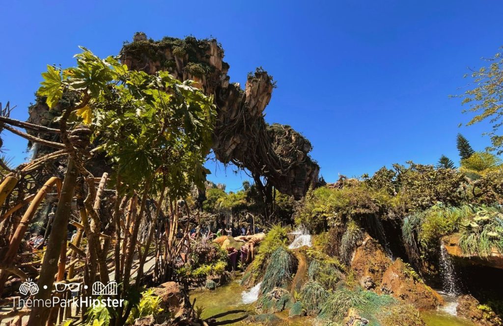 Pandora World of Avatar floating mountains Disney Animal Kingdom Theme Park. Outside of the Flight of Passage ride.