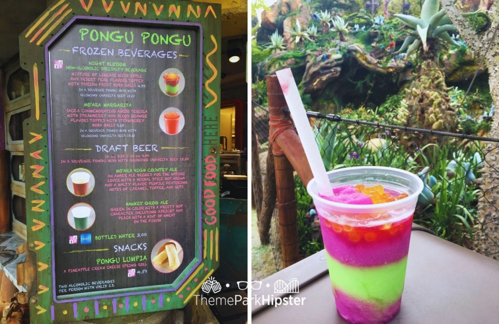 Pandora World of Avatar on a Cloudy Rainy Day Pongu Pongu Menu Night Blossom Drink Disney Animal Kingdom Theme Park