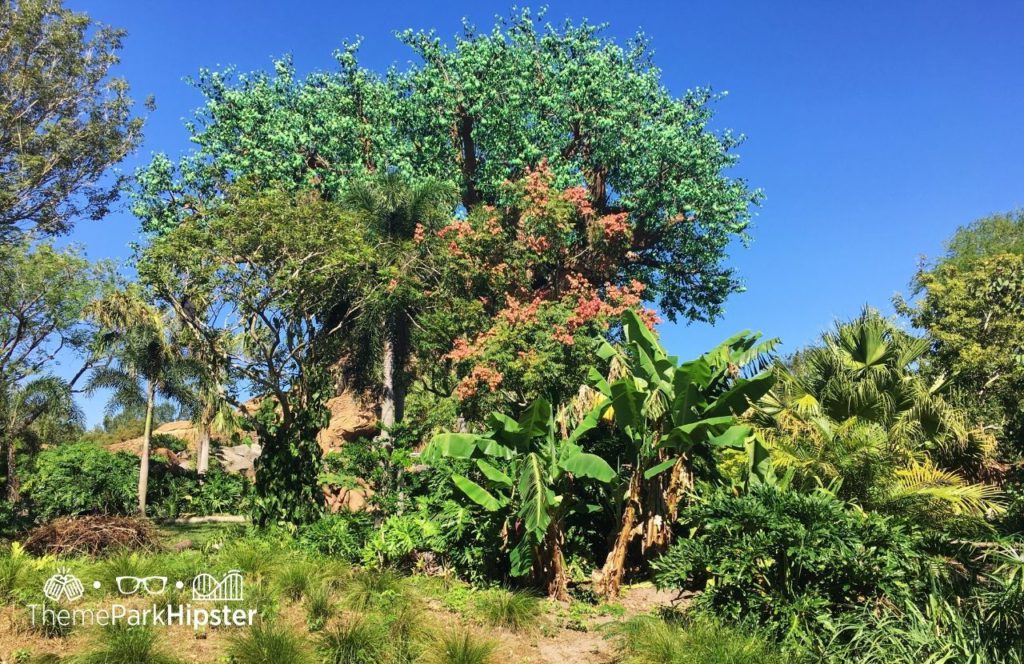 Tree of Life Disney Animal Kingdom Theme Park