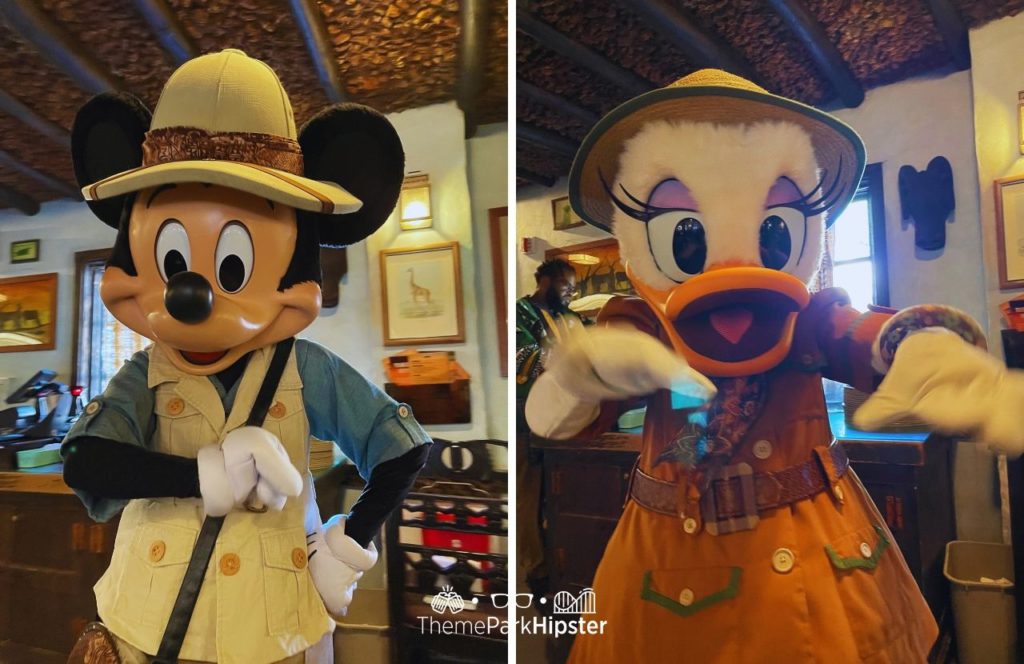 Tusker House Restaurant Buffet Mickey Mouse and Daisy Duck Characters Disney Animal Kingdom Theme Park.  Keep reading to discover how big is Disney world.