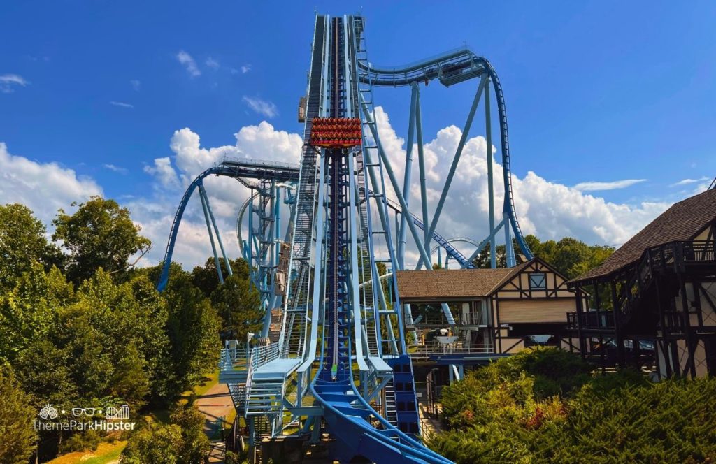 Griffon Roller Coaster at Busch Gardens Williamsburg, Virginia. Keep reading to find out all you need to know about visiting Busch Gardens in Williamsburg Virginia.