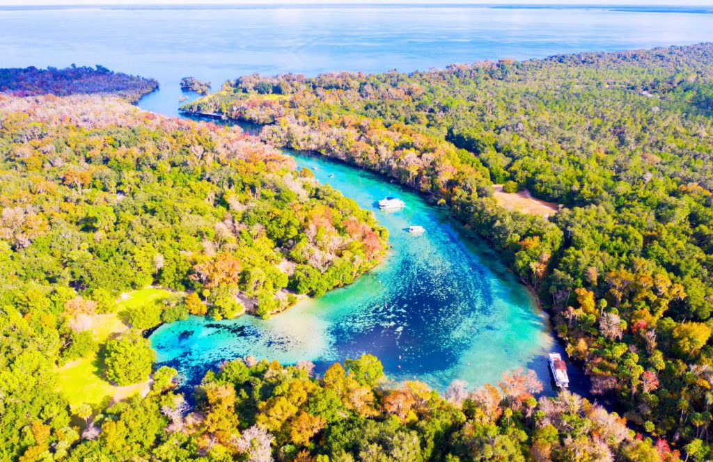 Ocala National Silver Glen Springs. One of the best places to travel alone in Florida