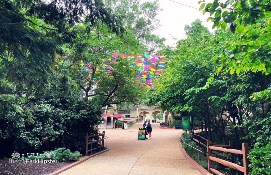 Scotland Area at Busch Gardens Williamsburg Virginia. Keep reading to find out all you need to know about going to Busch Gardens Williamsburg, Virginia.